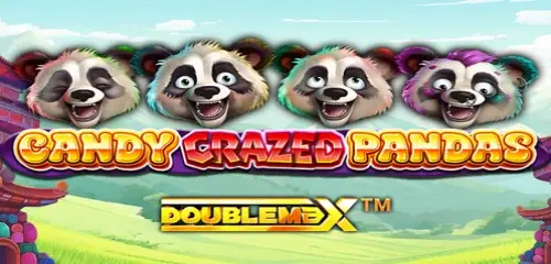 Candy Crazed Pandas DoubleMax slot